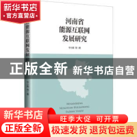 正版 河南省能源互联网发展研究 华小鹏等著 中国经济出版社 9787