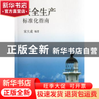 正版 安全生产标准化指南 宋大成编著 煤炭工业出版社 9787