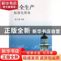 正版 安全生产标准化指南 宋大成编著 煤炭工业出版社 9787