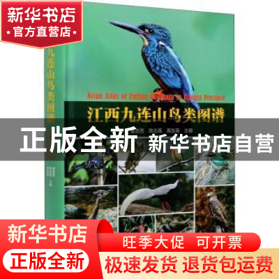 正版 江西九连山鸟类图谱 金志芳,陈志高,高友英 中国林业出版社