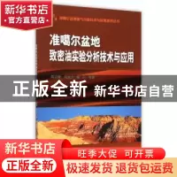 正版 准噶尔盆地致密油实验分析技术与应用 蒋宜勤,向宝力,杨召