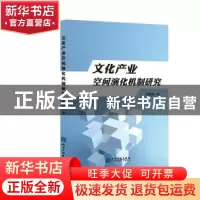 正版 文化产业空间演化机制研究:以江苏为例 胡慧源 知识产权出版