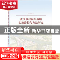 正版 武汉乡村振兴战略实施路径与方法研究 王江萍,孙璐,王竞永