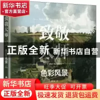 正版 致敬大师:色彩风景:Color scenery 魏心淼 江苏人民出版社 9