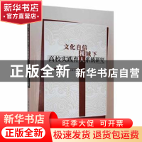 正版 文化自信视域下高校实践育人系统研究 范桂森,武剑英著 北