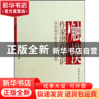 正版 触摸作家潜在意识 吴向北 中国社会科学出版社 978750047753