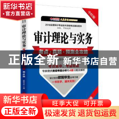 正版 审计理论与实务考点·真题·预测全攻略 欧阳华生主编 中国经