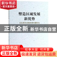 正版 塑造区域发展新优势:山东新旧动能转换问题研究 郝宪印主编