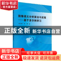 正版 图像语义分析算法与实现:基于多示例学习 李大湘,李娜 科学