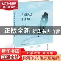 正版 月朗风清来看你 安书羽 著 百花洲文艺出版社 9787550027527