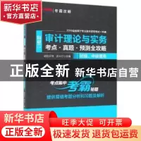 正版 审计理论与实务(科目二)考点·真题·预测全攻略 欧阳华生