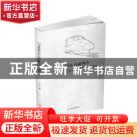 正版 CRH高速列车产品形象优化设计研究 李洋著 四川大学出版社 9