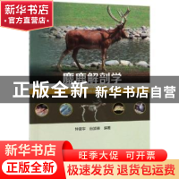 正版 麋鹿解剖学 钟震宇,白加德编著 科学出版社 9787030603609