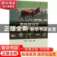 正版 麋鹿解剖学 钟震宇,白加德编著 科学出版社 9787030603609