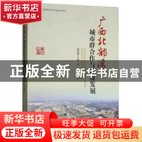 正版 广西北部湾城市群合作与开放发展 傅远佳,邓辉 编 经济管理