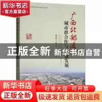 正版 广西北部湾城市群合作与开放发展 傅远佳,邓辉 编 经济管理