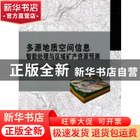 正版 多源地质空间信息智能处理与区域矿产资源预测 何彬彬,陈翠