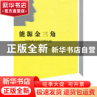 正版 能源金三角:同构西北经济增长极 赵铁军著 光明日报出版社 9