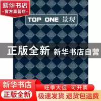 正版 TOP ONE景观 孙旭阳,刘坤编著 华中科技大学出版社 9787560