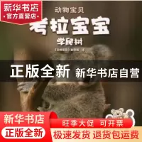 正版 考拉宝宝学爬树 (印)玛里琳·戈尔[著] 中国财政经济出版社 9