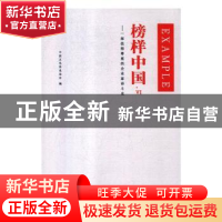 正版 榜样中国:一部值得尊重的企业家奋斗史:Ⅵ 中国文化信息协会