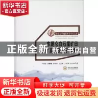正版 东昆仑白石崖矿田成矿系统及成矿预测 尹利君[等]著 中南大