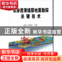 正版 低渗透薄储层地震勘探关键技术 赵邦六,陈树民等著 石油工