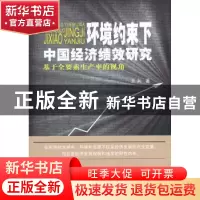 正版 环境约束下中国经济绩效研究:基于全要素生产率的视角 王兵