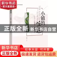 正版 小镇的崛起:特色小镇规划与运营指南 印建平 著 经济管理出