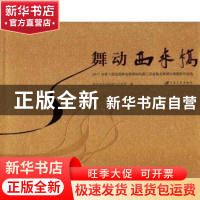 正版 舞动西来桥:2017年第十届全国舞龙舞狮锦标赛江苏省舞龙舞