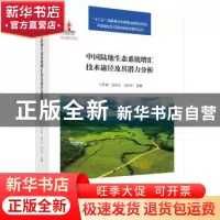 正版 中国陆地生态系统的增汇技术途径及其潜力分析 于贵瑞,赵新