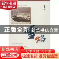 正版 雪焰:皇冠钻石级长篇小说 张建术著 东方出版社 97875060554