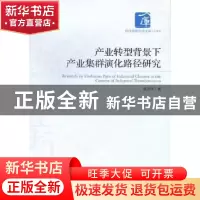 正版 产业转型背景下产业集群演化路径研究 赵忠华著 经济管理出