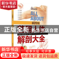 正版 艺用人体解剖大全 [西班牙]派拉蒙专业团队 上海书画出版