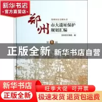 正版 郑州市大遗址保护规划汇编:第1辑 阎铁成主编 科学出版社 97