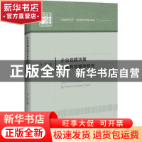 正版 企业规模决策及其有效路径研究 刘芳著 中国经济出版社 9787