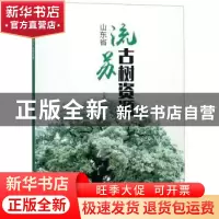 正版 山东省流苏古树资源 李际红 中国林业出版社 9787503896040