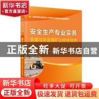 正版 安全生产专业实务:金属与非金属矿山安全技术 全国中级安全