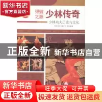 正版 少林传奇:少林功夫历史与文化 肖东发主编 现代出版社 9787