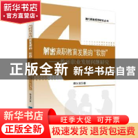 正版 解密高职教育发展的“软肋”:教师职业发展问题研究 韩永宝