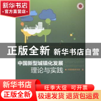 正版 中国新型城镇化发展:理论与实践:urbanization development
