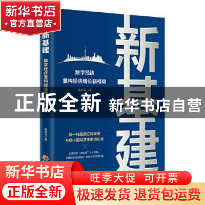 正版 《新基建:数字经济重构经济增长新格局》 袁国宝著 中国经