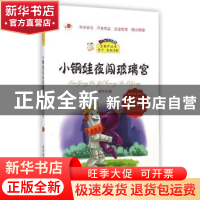正版 小钢娃夜闯玻璃宫 蔡字征著 科学普及出版社 9787110086759