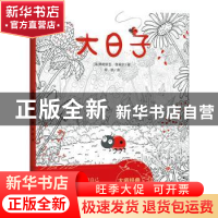 正版 大日子 [法]弗朗索瓦·鲁塞尔 天地出版社 9787545551068 书