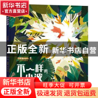 正版 不一样的小波 (法)琪奇·比格 天地出版社 9787545551167