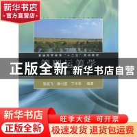 正版 管理运筹学:模型与方法 张延飞,颜七笙,丁木华编著 同济大