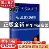 正版 河北能源发展报告:2019:2019 袁建普康振海 著 社会科学文献