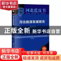 正版 河北能源发展报告:2019:2019 袁建普康振海 著 社会科学文献