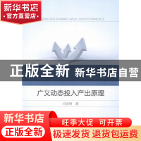 正版 广义动态投入产出原理 冯光明著 中国经济出版社 9787513629