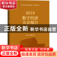 正版 2019数字经济大会报告 孙世芳,周超男 经济日报出版社 97875